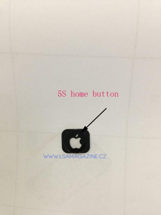 iPhone 5S - przycisk domowy