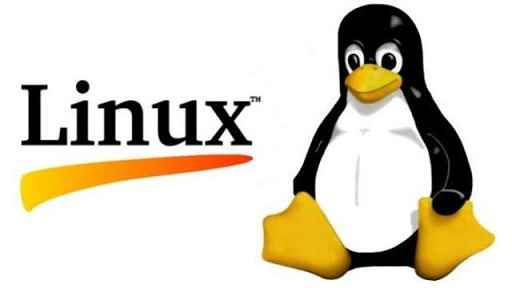 Linux kernel 3.10