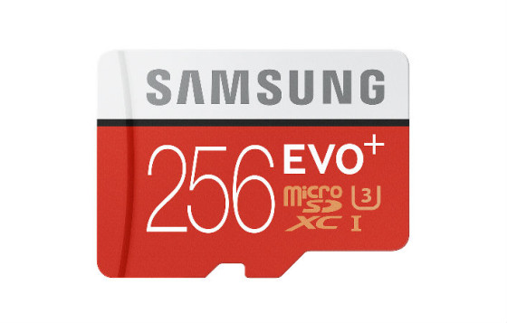 EVO Plus 256 GB