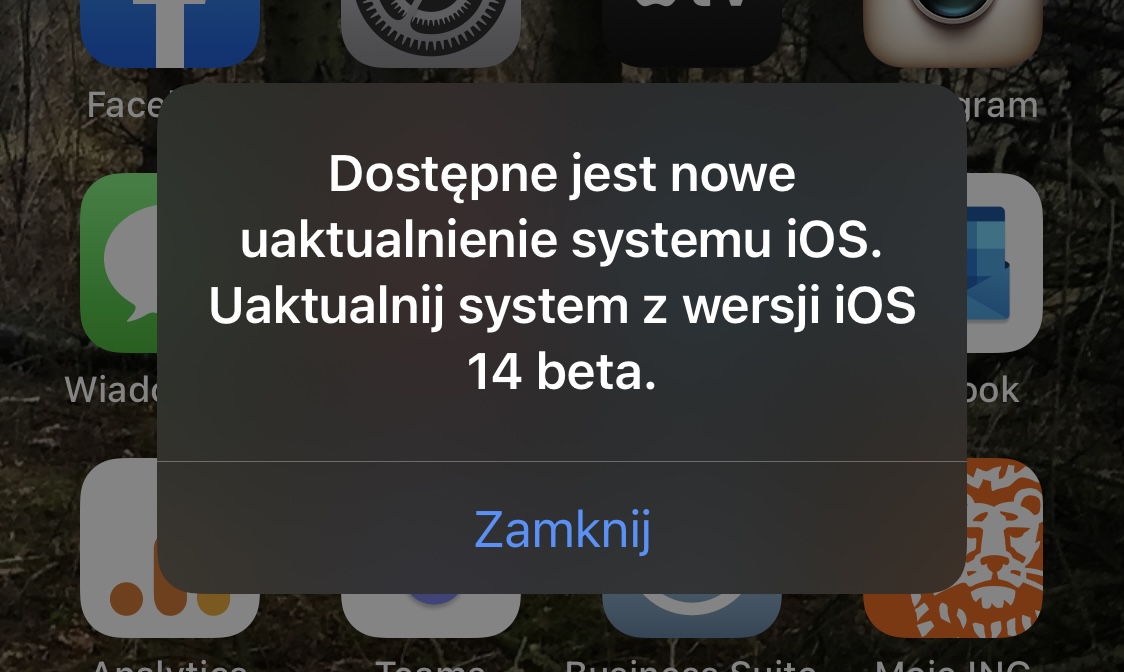 aktualizacja iOS 14.2 beta 4 nie ma Apple iPhone