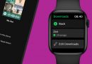 watchOS 9 dla Apple Watch sprawia problemy z aplikacją Spotify