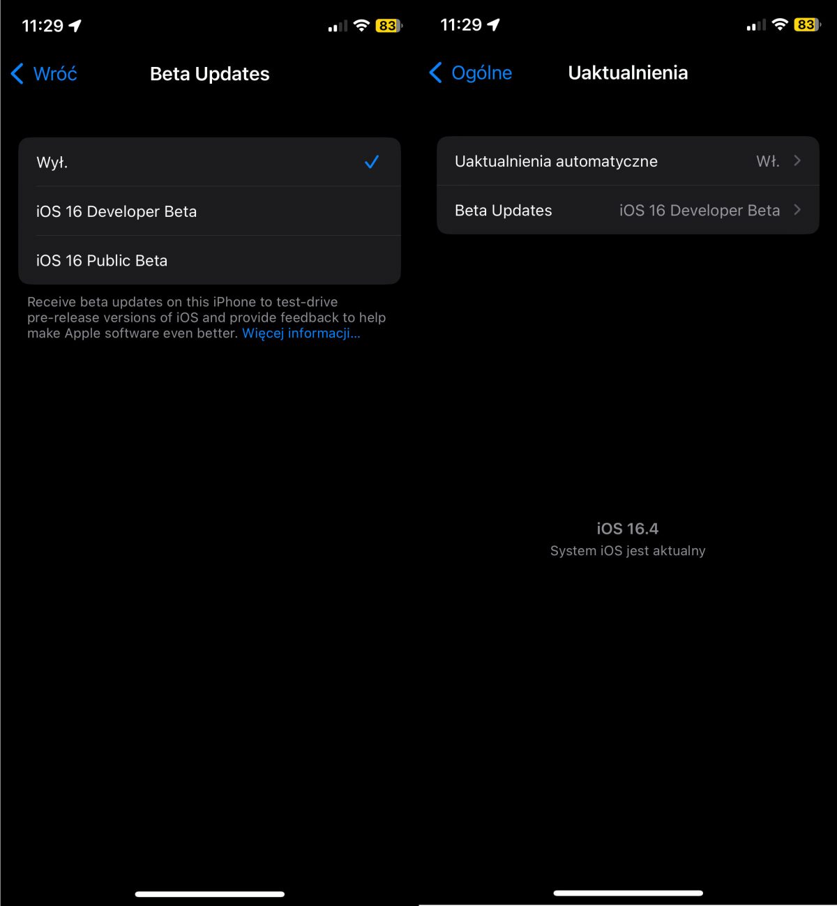 iOS 17 beta instalacja