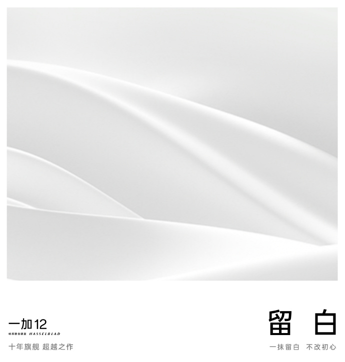 smartfon OnePlus 12 5G kolory obudowy